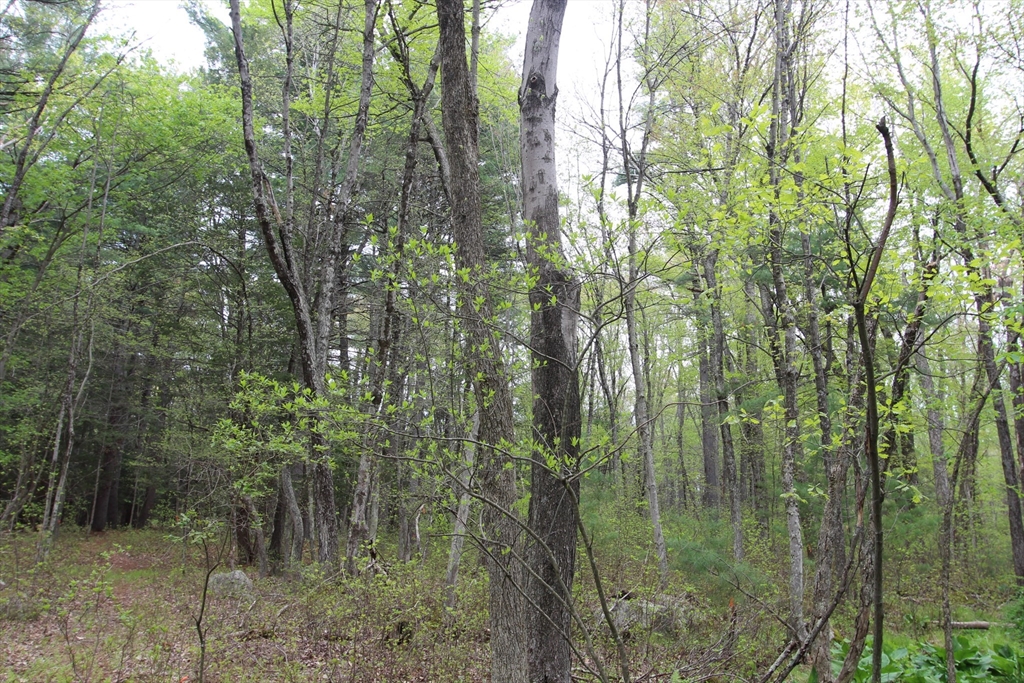 Parcel D Prentice Street Holliston, MA 01746 - Photo 3 of 4
