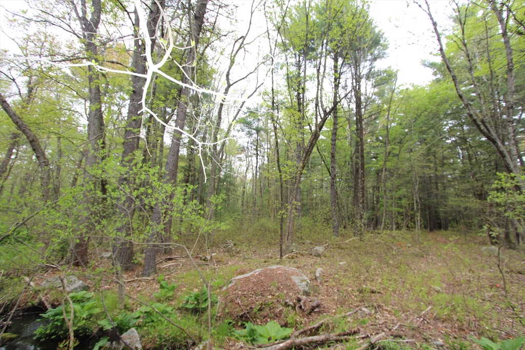 Parcel D Prentice Street Holliston, MA 01746 - Photo 4 of 4