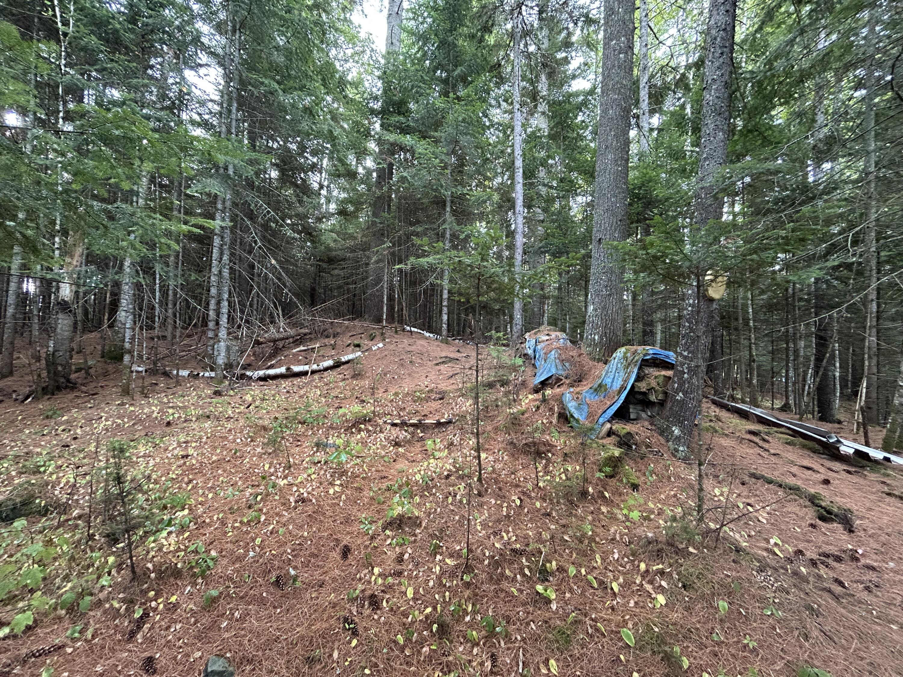 4 Gilbert Circle Oquossoc, ME 04964 - Photo 21 of 32 IMG_3034