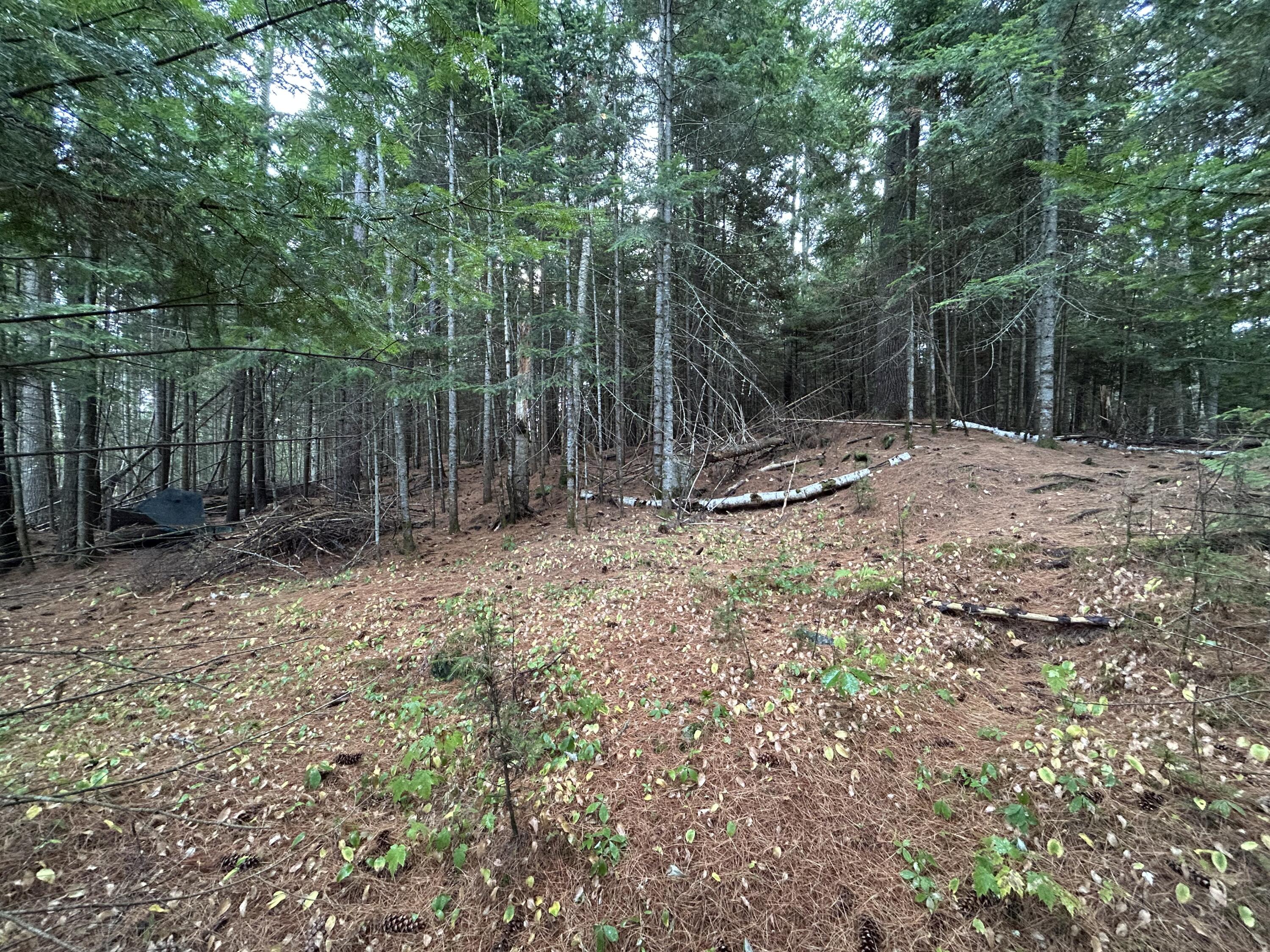 4 Gilbert Circle Oquossoc, ME 04964 - Photo 22 of 32 IMG_3035