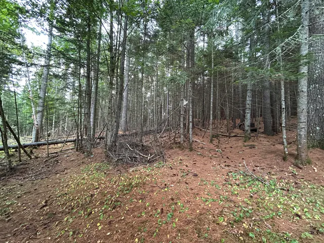 $184,500 | 4 Gilbert Circle, Oquossoc, ME 04964