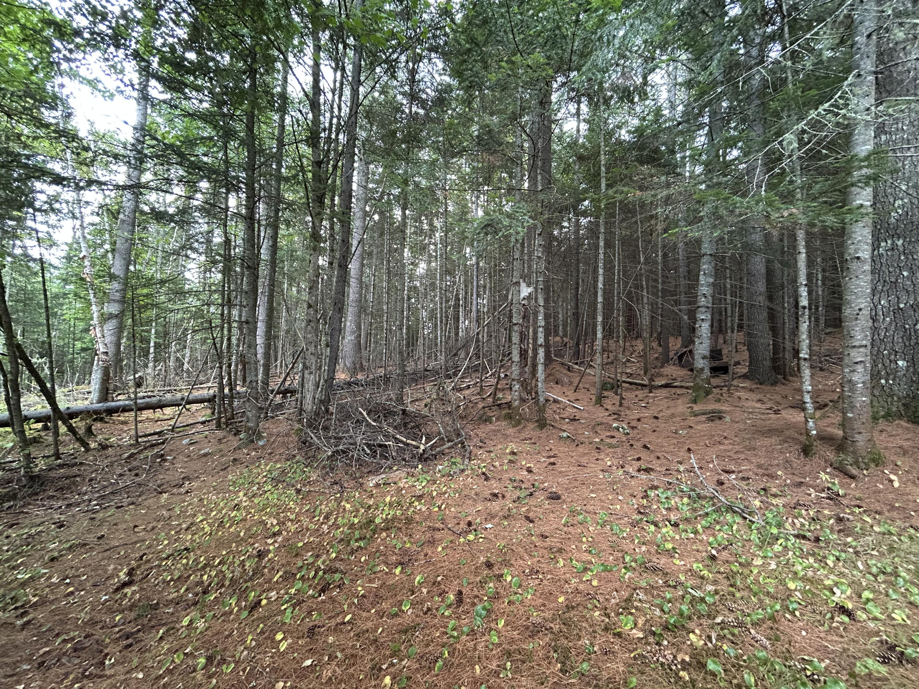 4 Gilbert Circle Oquossoc, ME 04964 - Photo 23 of 32 IMG_3036