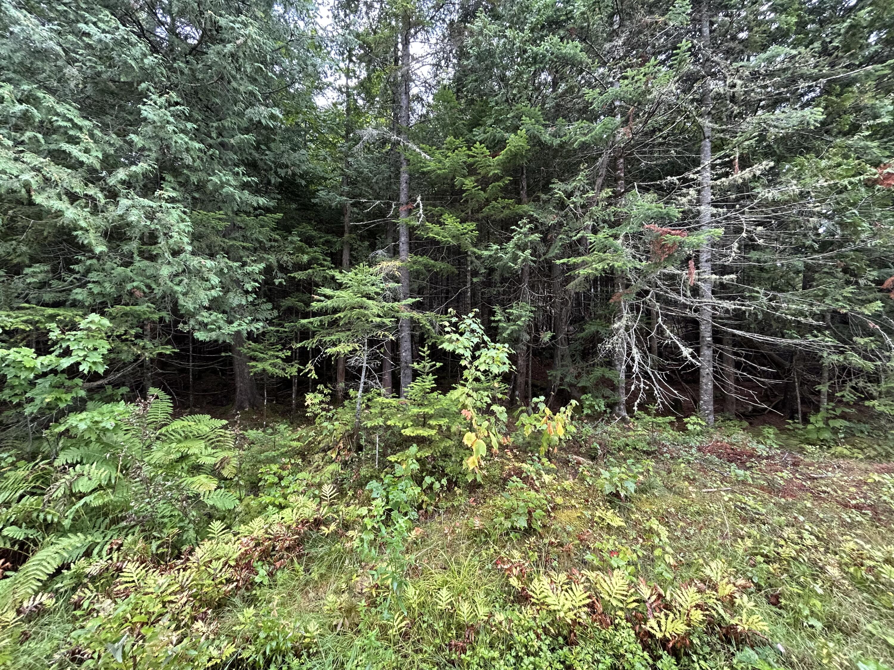 4 Gilbert Circle Oquossoc, ME 04964 - Photo 27 of 32 IMG_3042