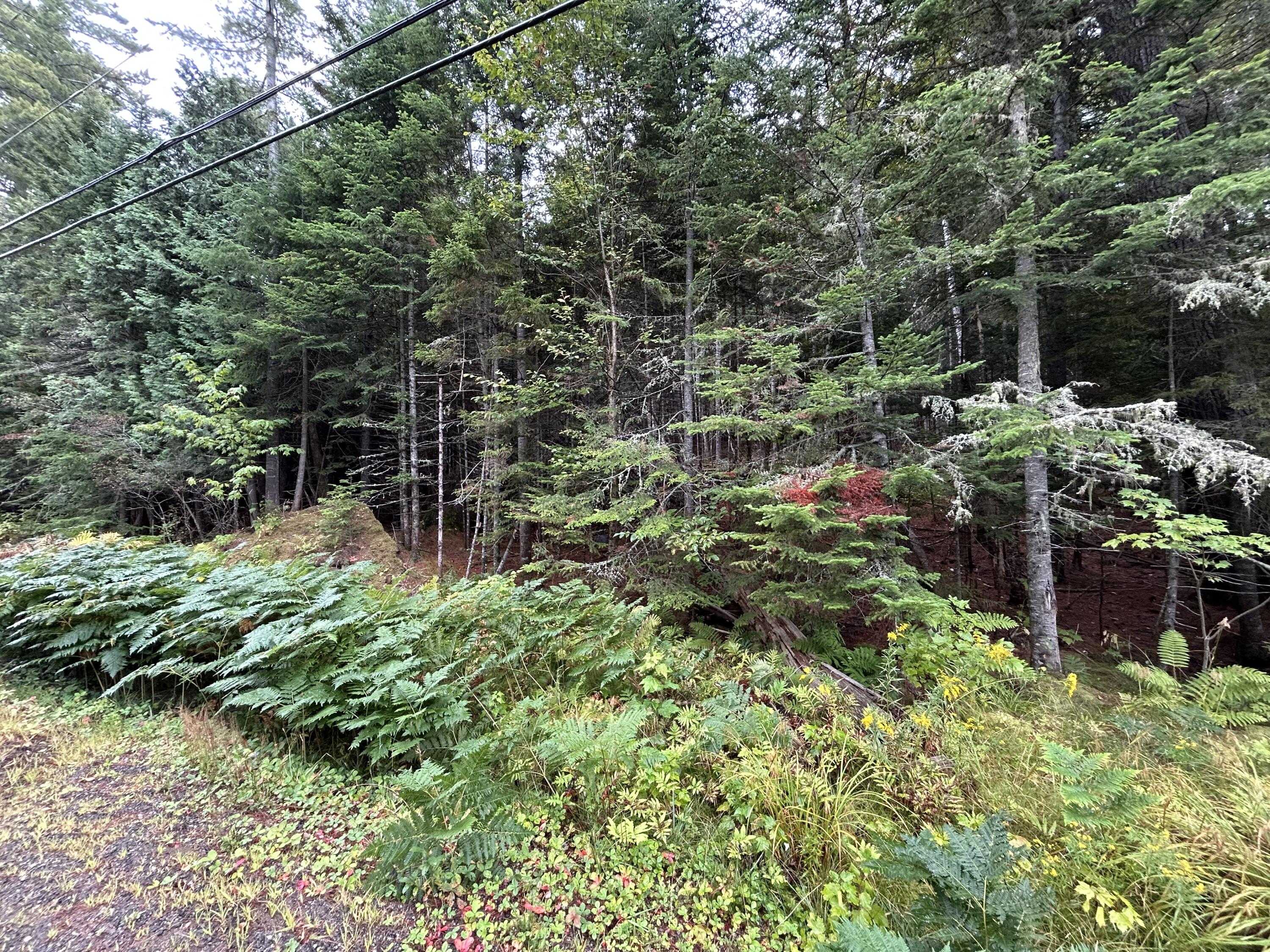 4 Gilbert Circle Oquossoc, ME 04964 - Photo 29 of 32 IMG_3044