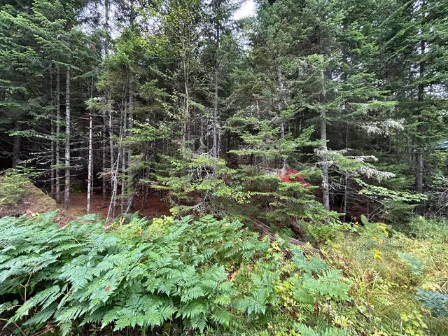 $184,500 | 4 Gilbert Circle, Oquossoc, ME 04964