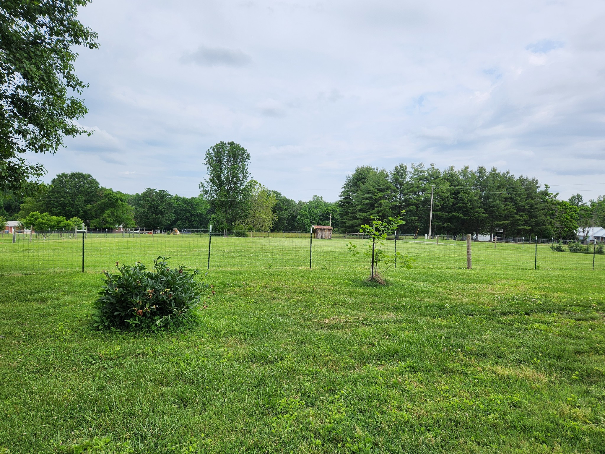 1421 Pea Ridge Road Manchester, TN 37355 - Photo 36 of 62 a view of a park