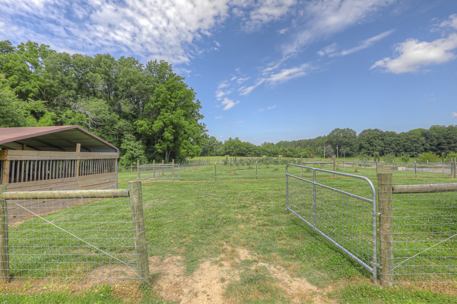 1421 Pea Ridge Road Manchester, TN 37355 - Photo 40 of 62 a view of a lake from a yard