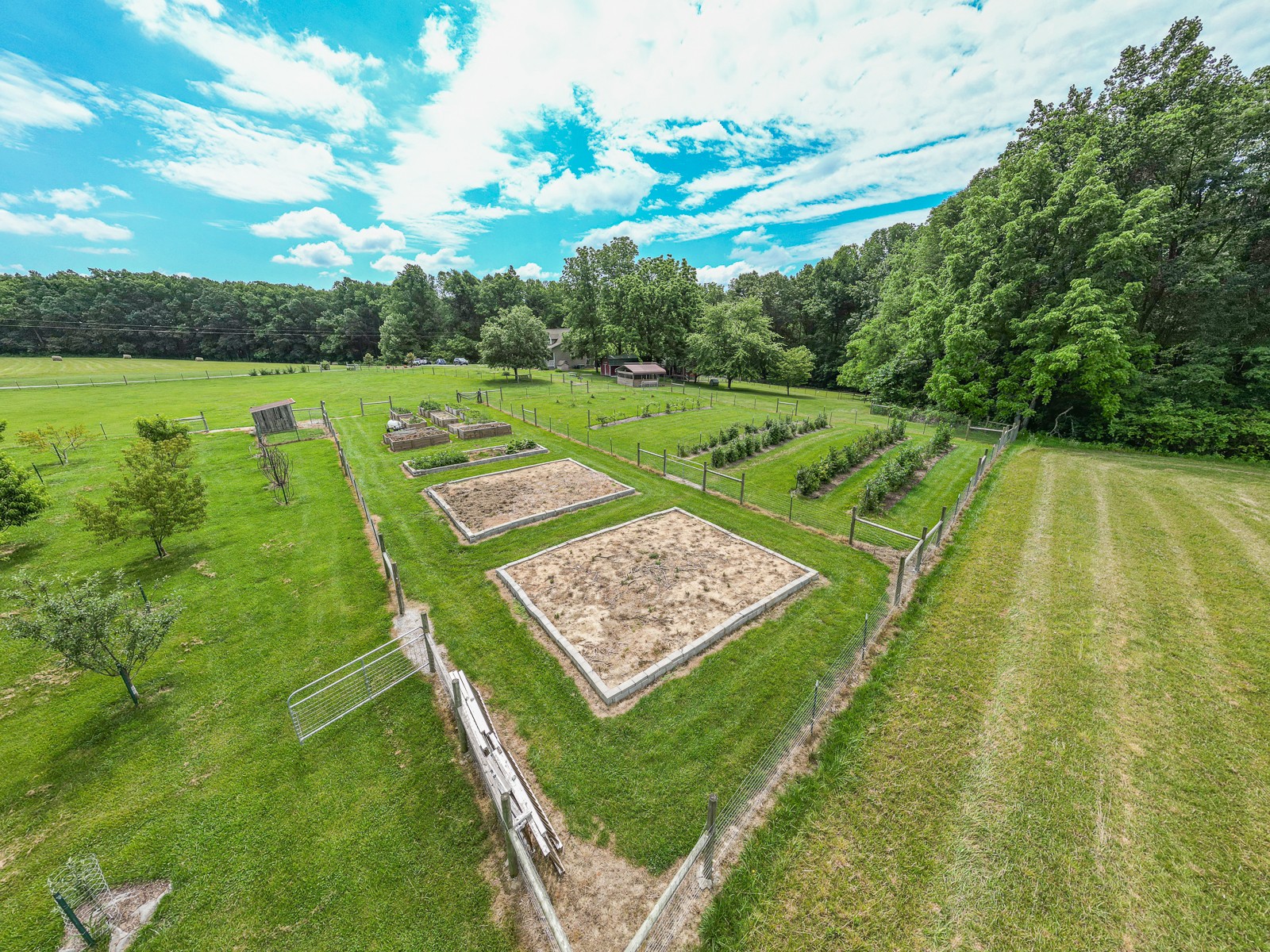 1421 Pea Ridge Road Manchester, TN 37355 - Photo 46 of 62 a view of a back yard of the house