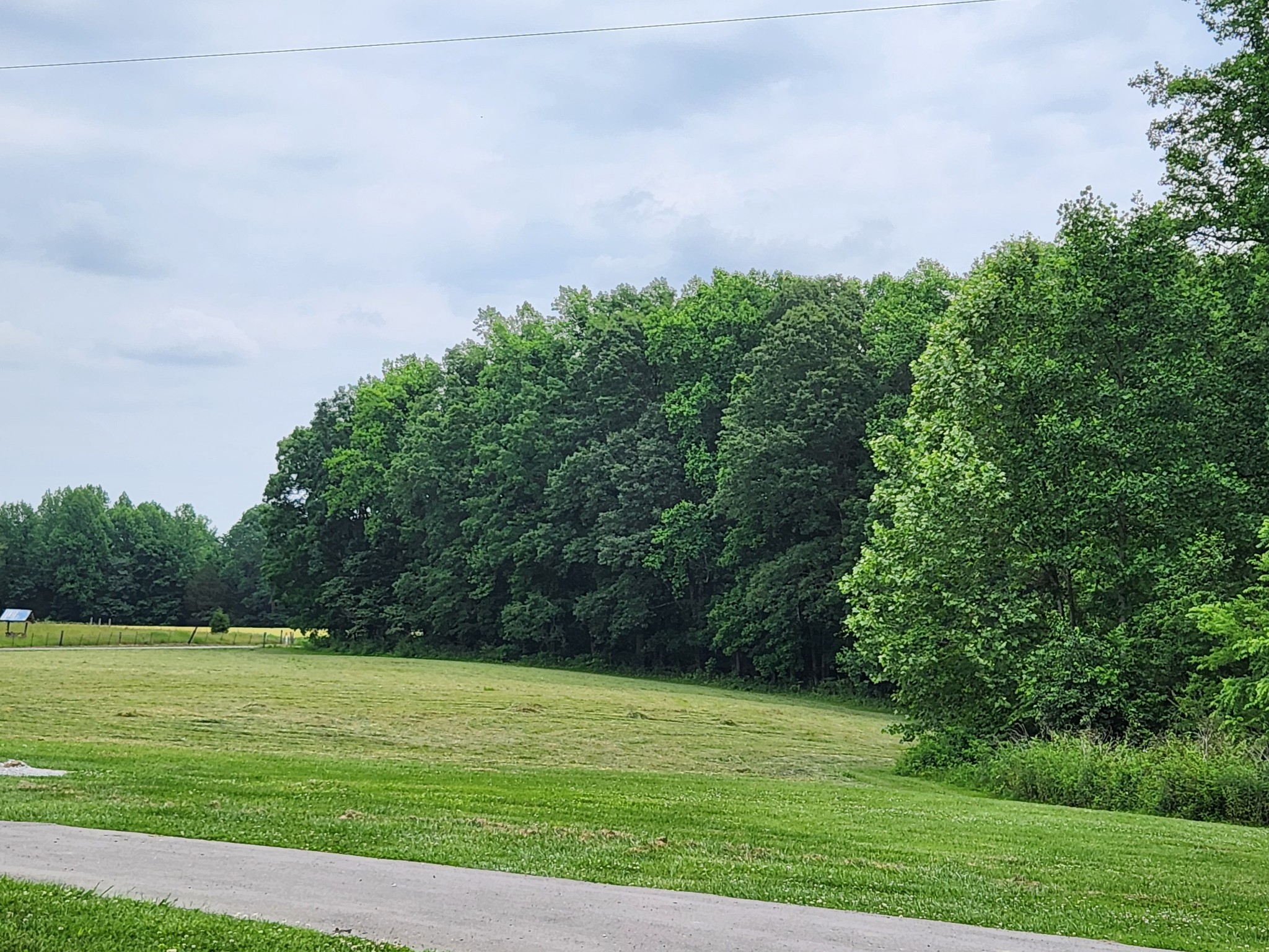 1421 Pea Ridge Road Manchester, TN 37355 - Photo 5 of 62 a view of a grassy field
