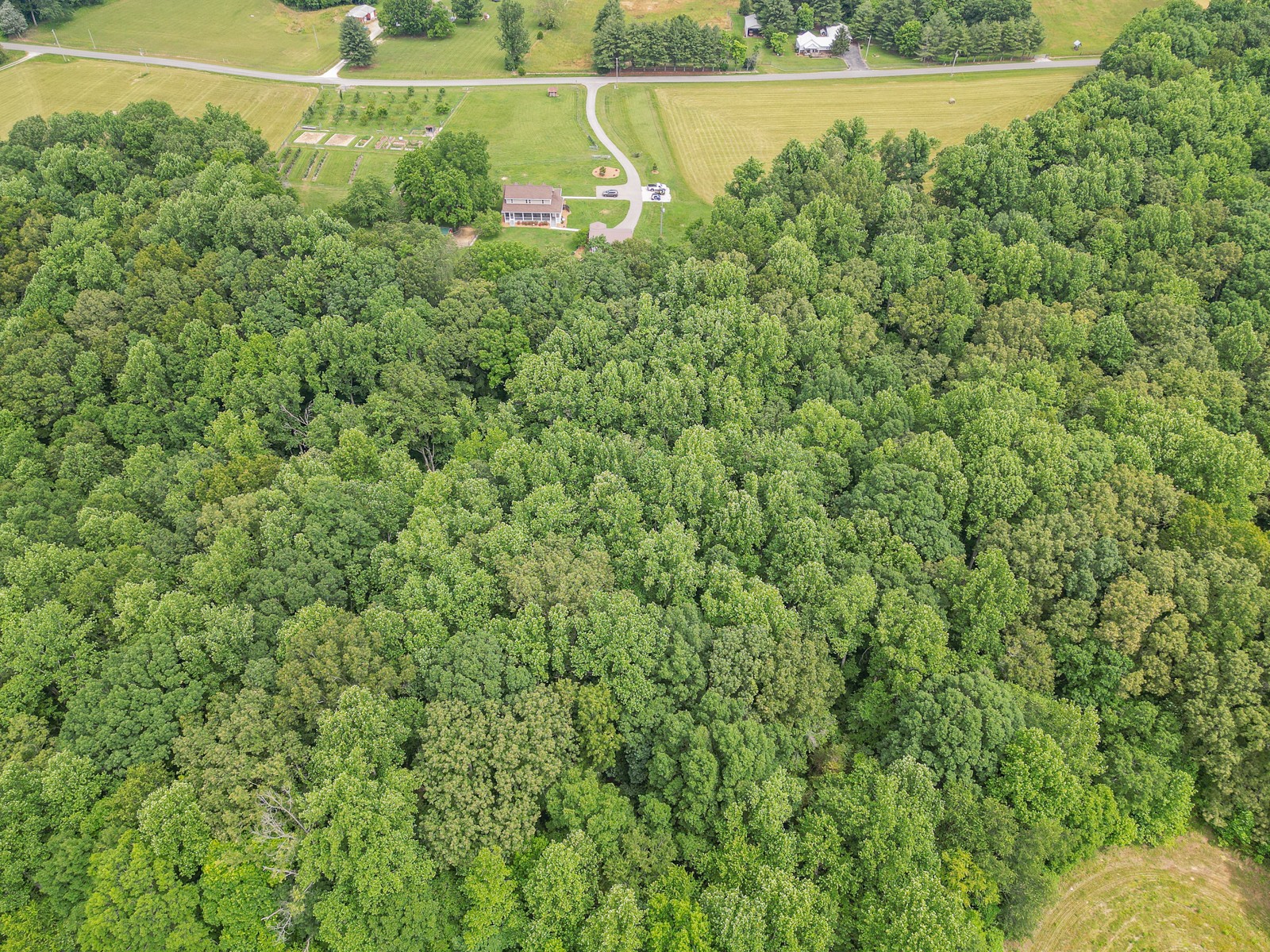1421 Pea Ridge Road Manchester, TN 37355 - Photo 55 of 62