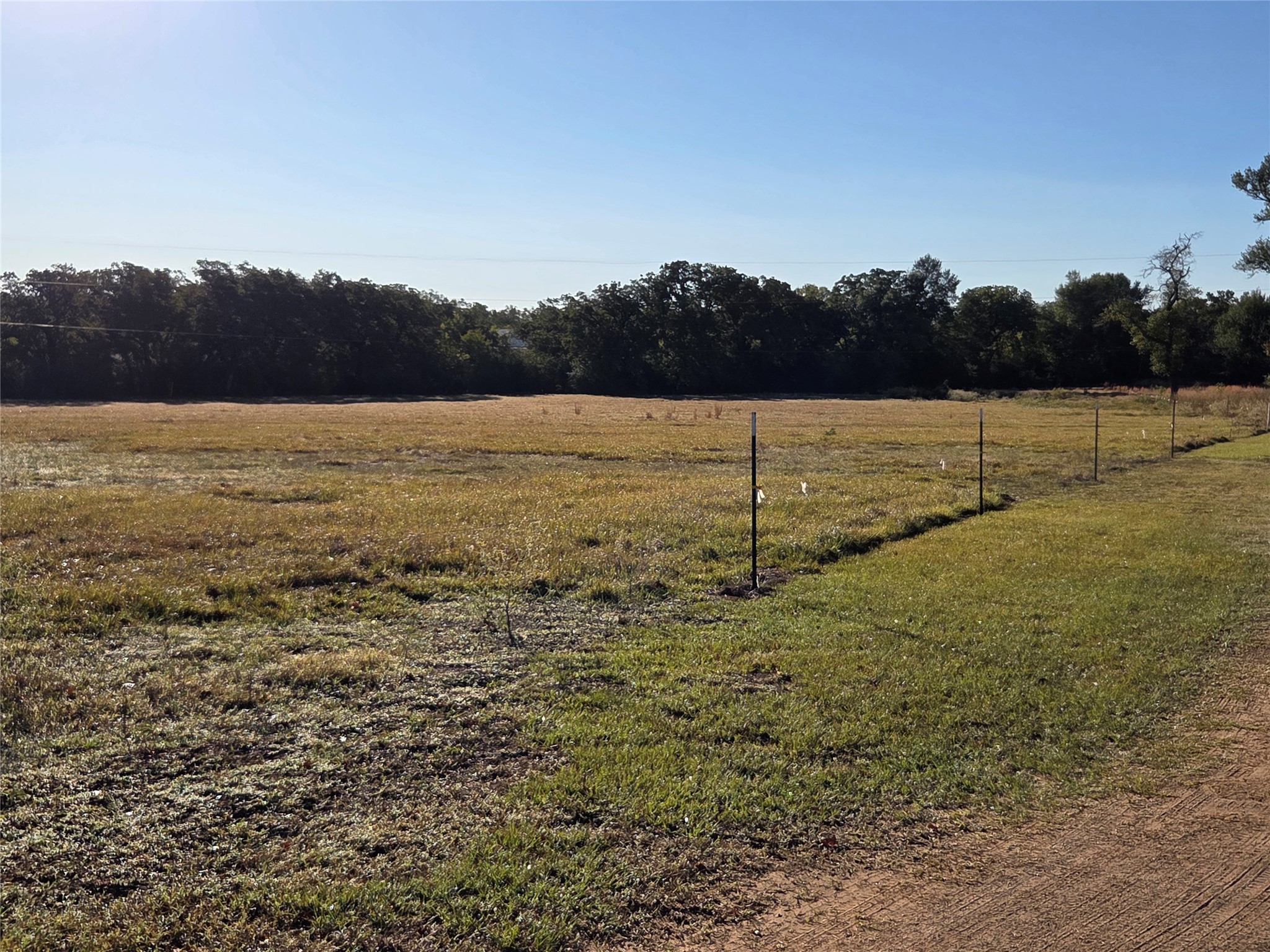 298 Cr 346 Road Milano, TX 76556 - Photo 25 of 26 a view of an outdoor space and a yard