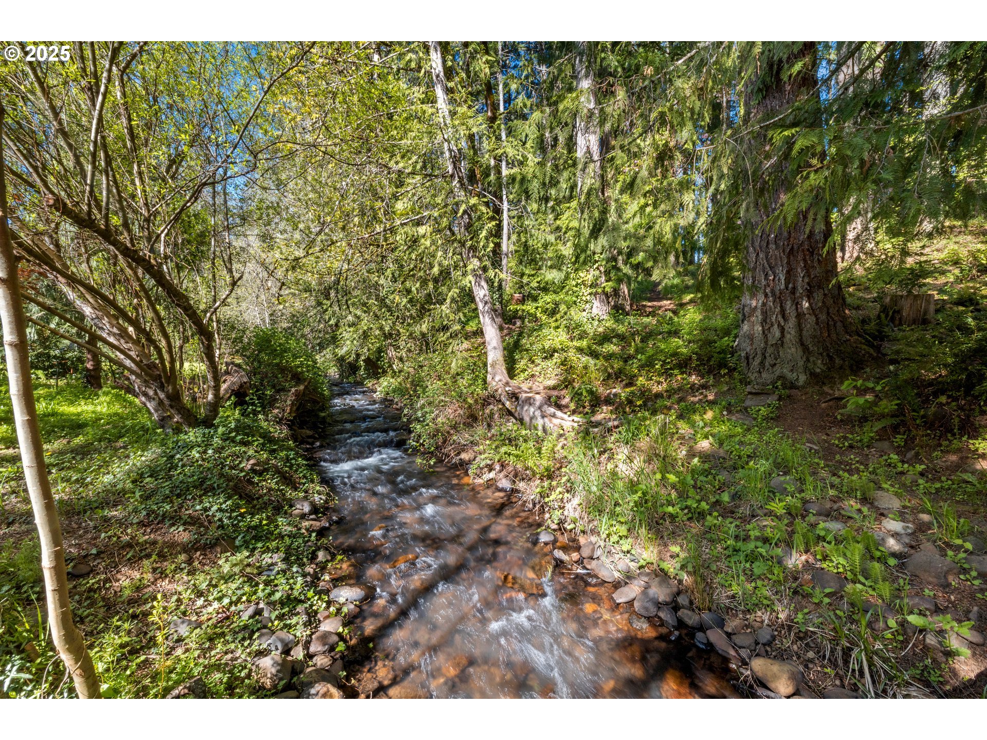 22345 South Poplar Road Estacada, OR 97023 - Photo 39 of 48 Creek