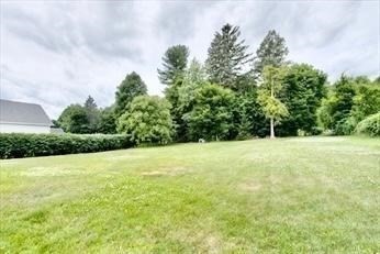 21 Brattle Street Worcester, MA 01606 - Photo 13 of 14 a view of a yard with a trampoline