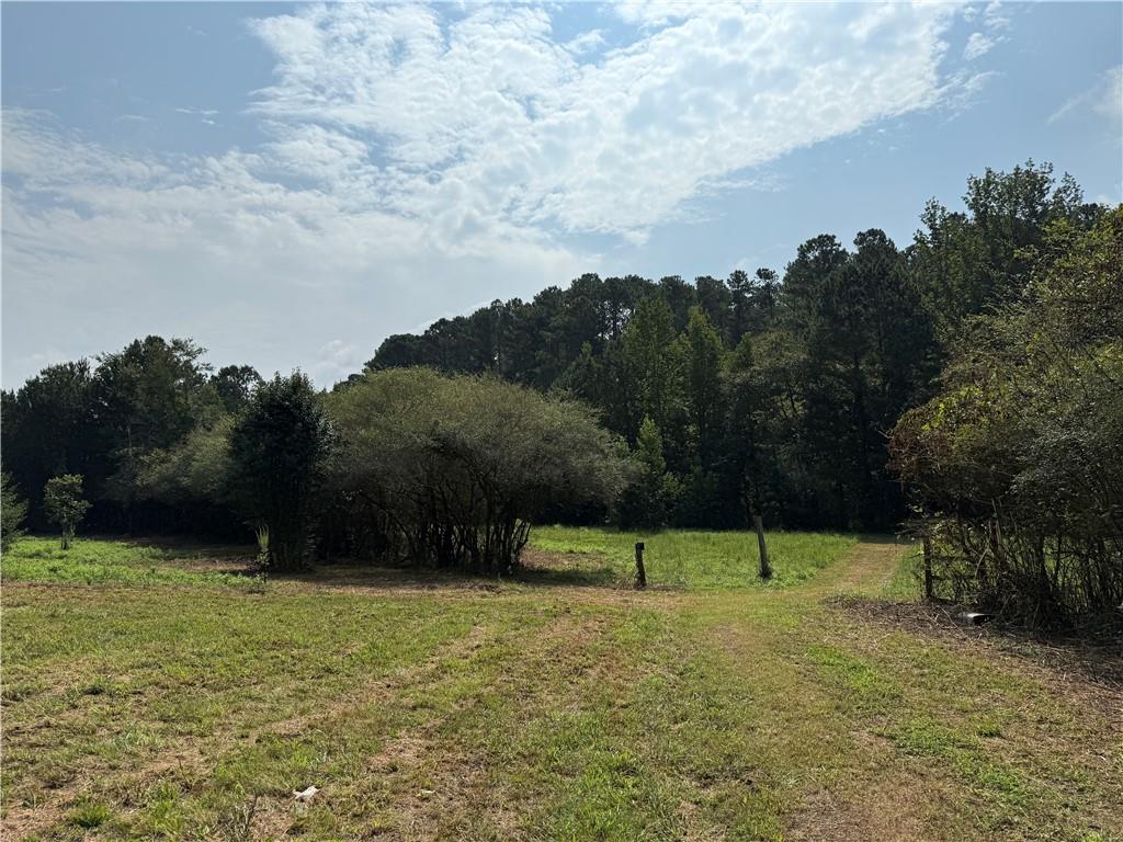 a view of outdoor space with garden