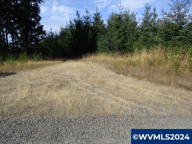 0 Northwest Crane (4) Road Yamhill, OR 97148 - Photo 9 of 12