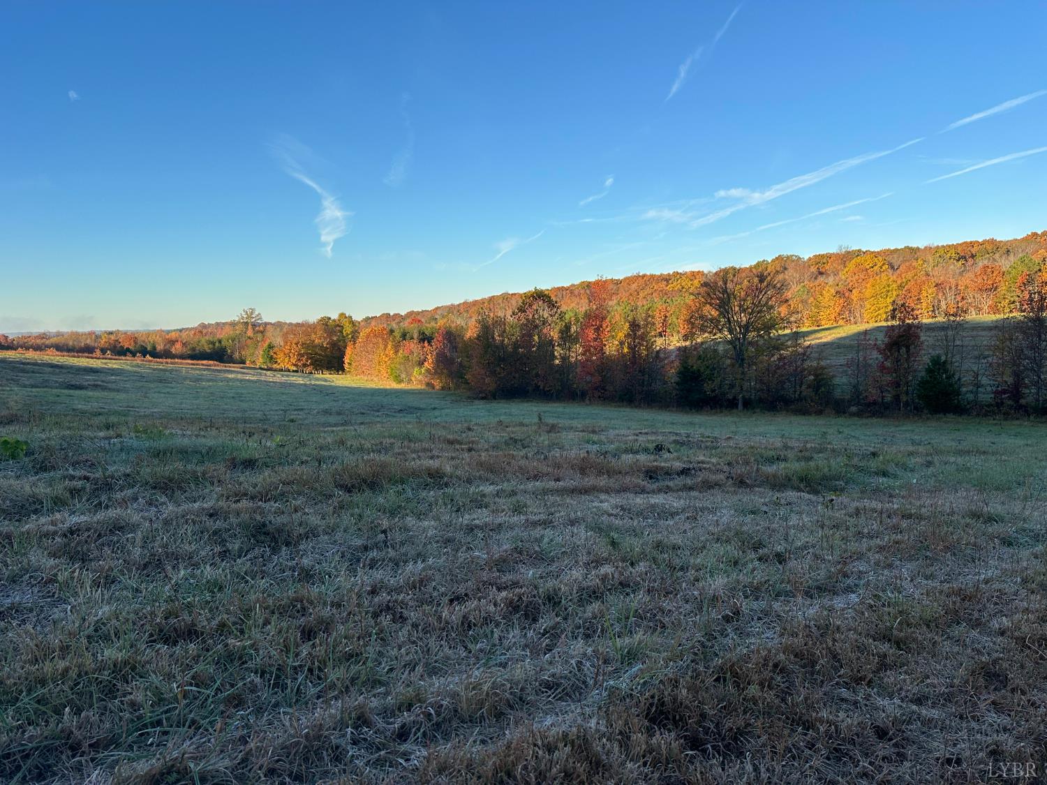 0 McIver Ferry Road Gladys, VA 24554 - Photo 12 of 70 a view of grassy field with mountain view