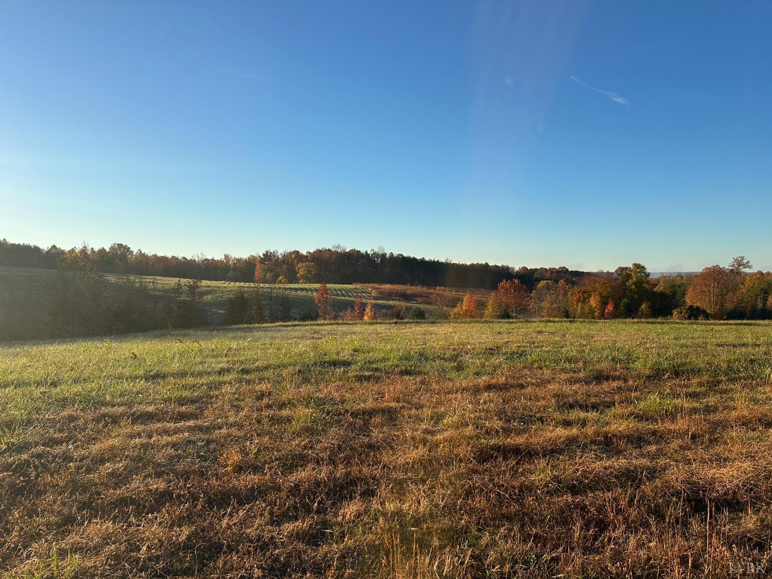 0 McIver Ferry Road Gladys, VA 24554 - Photo 14 of 70