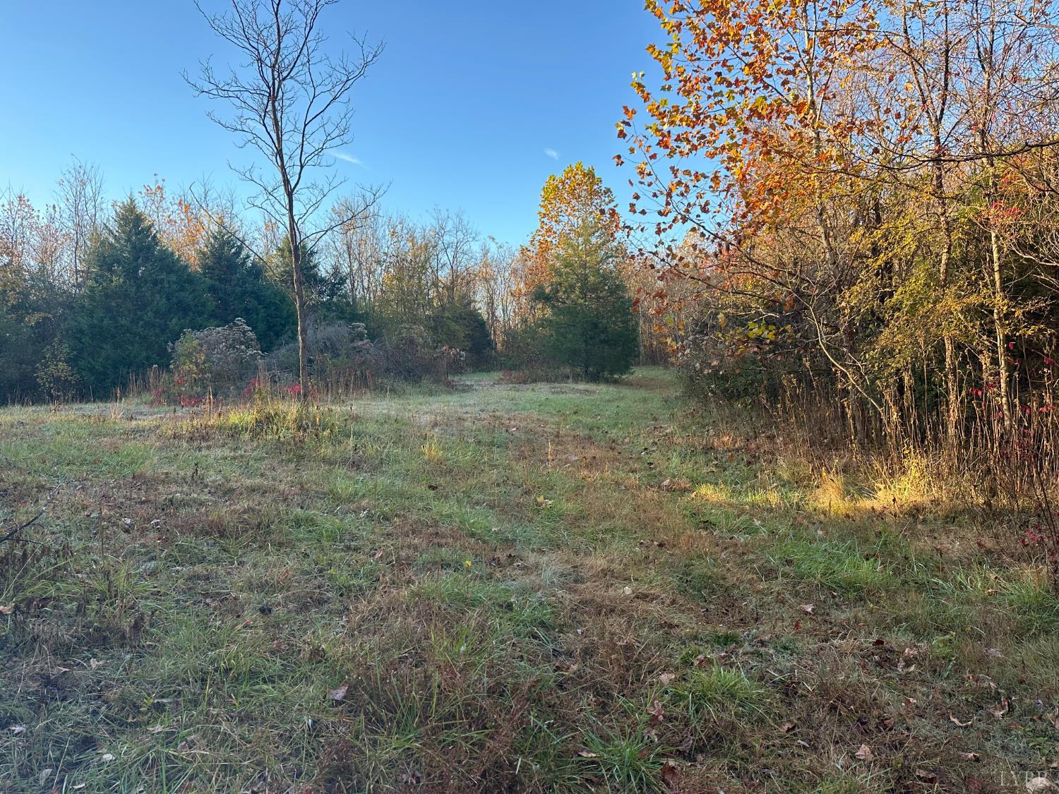 0 McIver Ferry Road Gladys, VA 24554 - Photo 18 of 70 a view of outdoor space with trees all around