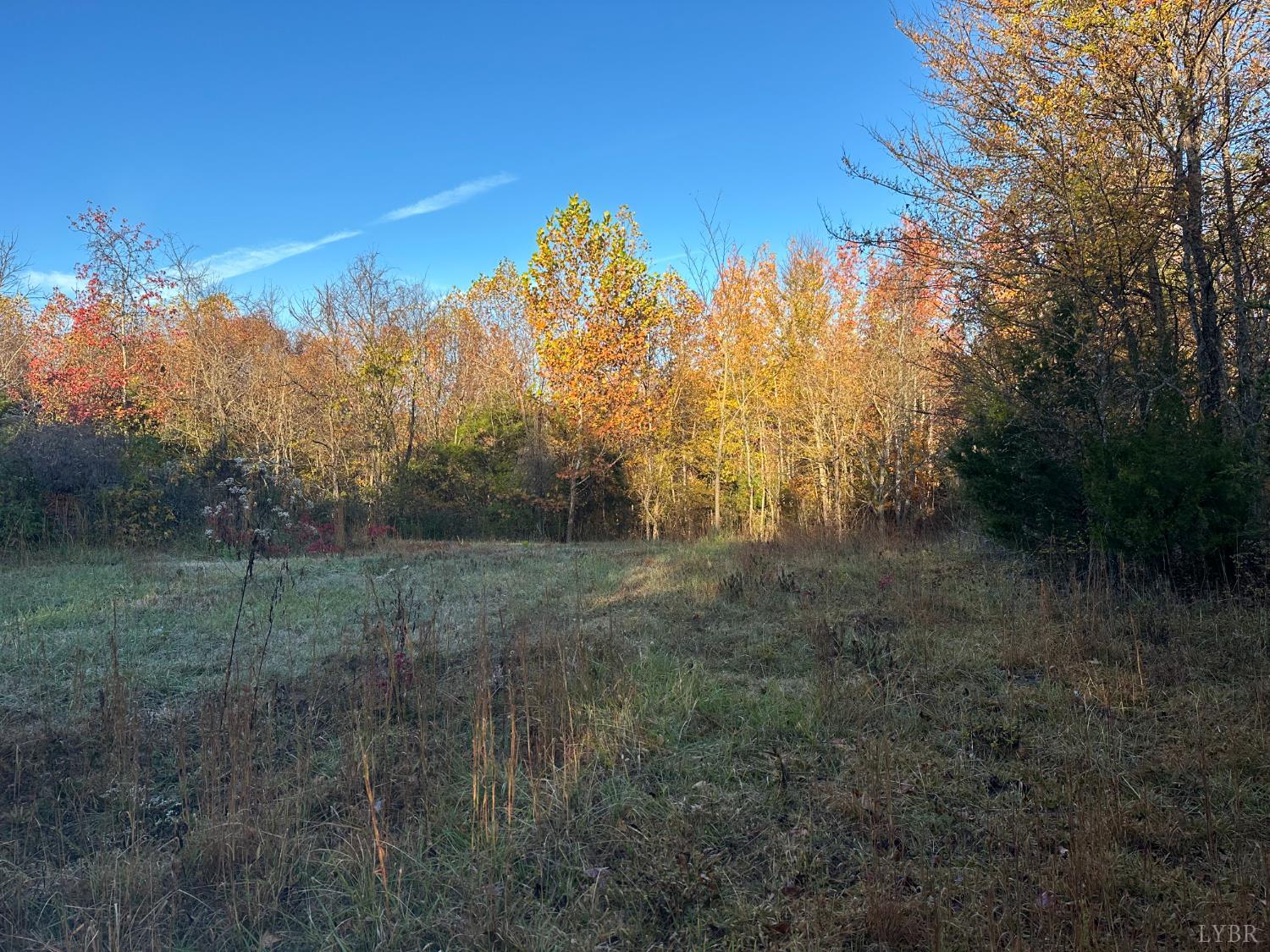 0 McIver Ferry Road Gladys, VA 24554 - Photo 20 of 70