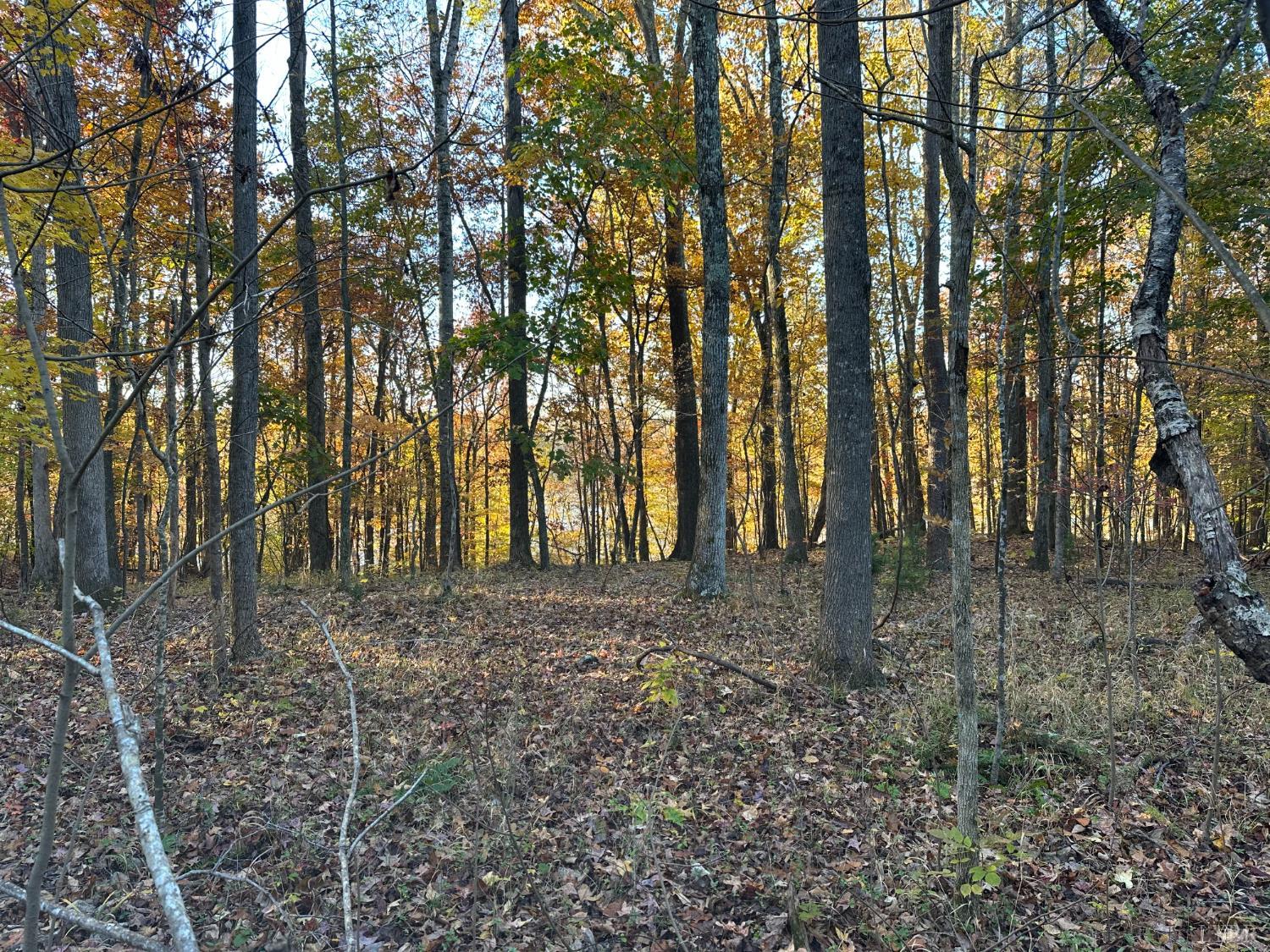 0 McIver Ferry Road Gladys, VA 24554 - Photo 23 of 70
