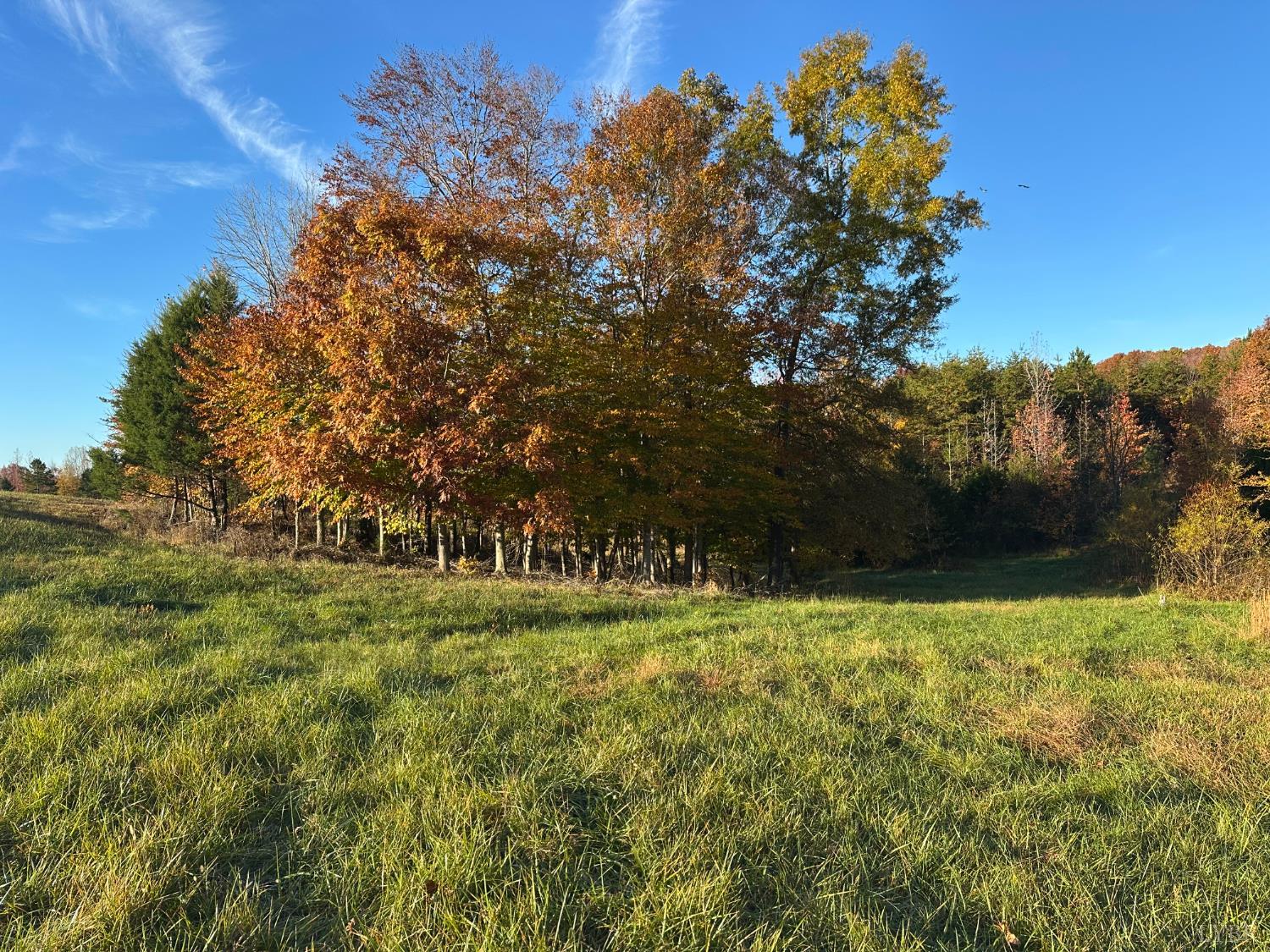 0 McIver Ferry Road Gladys, VA 24554 - Photo 29 of 70