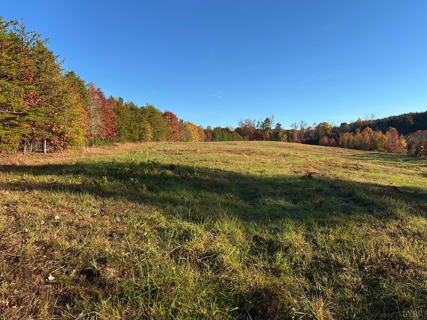 0 McIver Ferry Road Gladys, VA 24554 - Photo 3 of 70