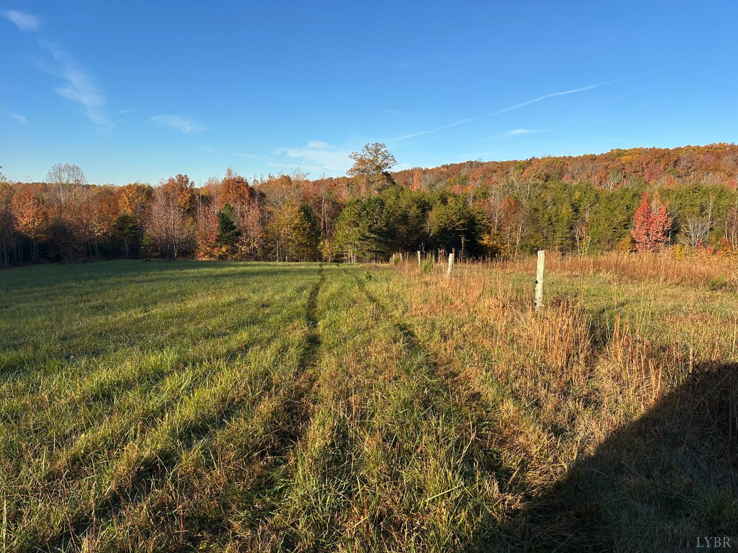 0 McIver Ferry Road Gladys, VA 24554 - Photo 32 of 70 a view of an outdoor space and a yard