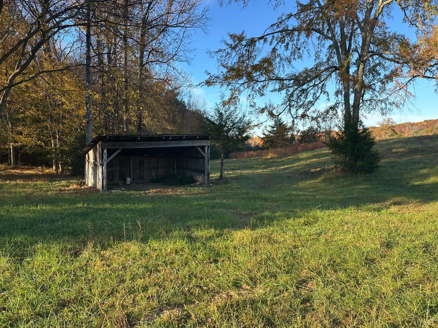 0 McIver Ferry Road Gladys, VA 24554 - Photo 34 of 70 a backyard of a house with lots of green space