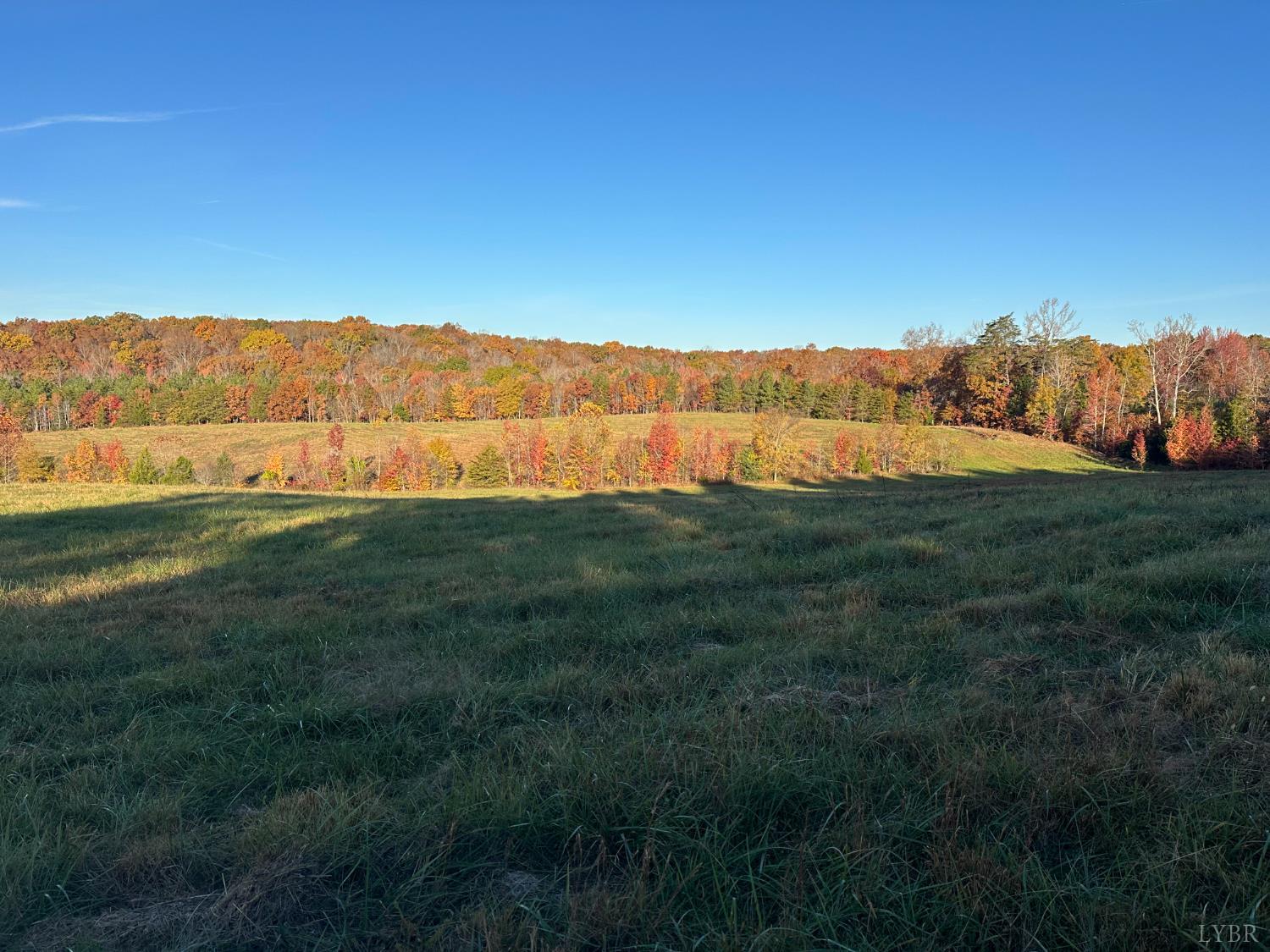 0 McIver Ferry Road Gladys, VA 24554 - Photo 36 of 70