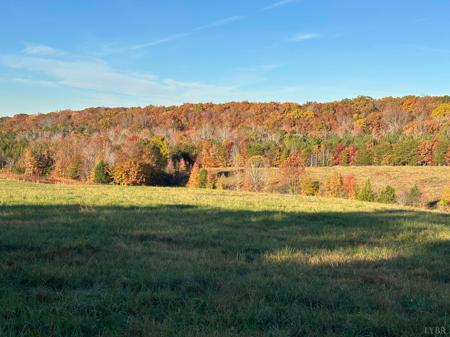 0 McIver Ferry Road Gladys, VA 24554 - Photo 38 of 70