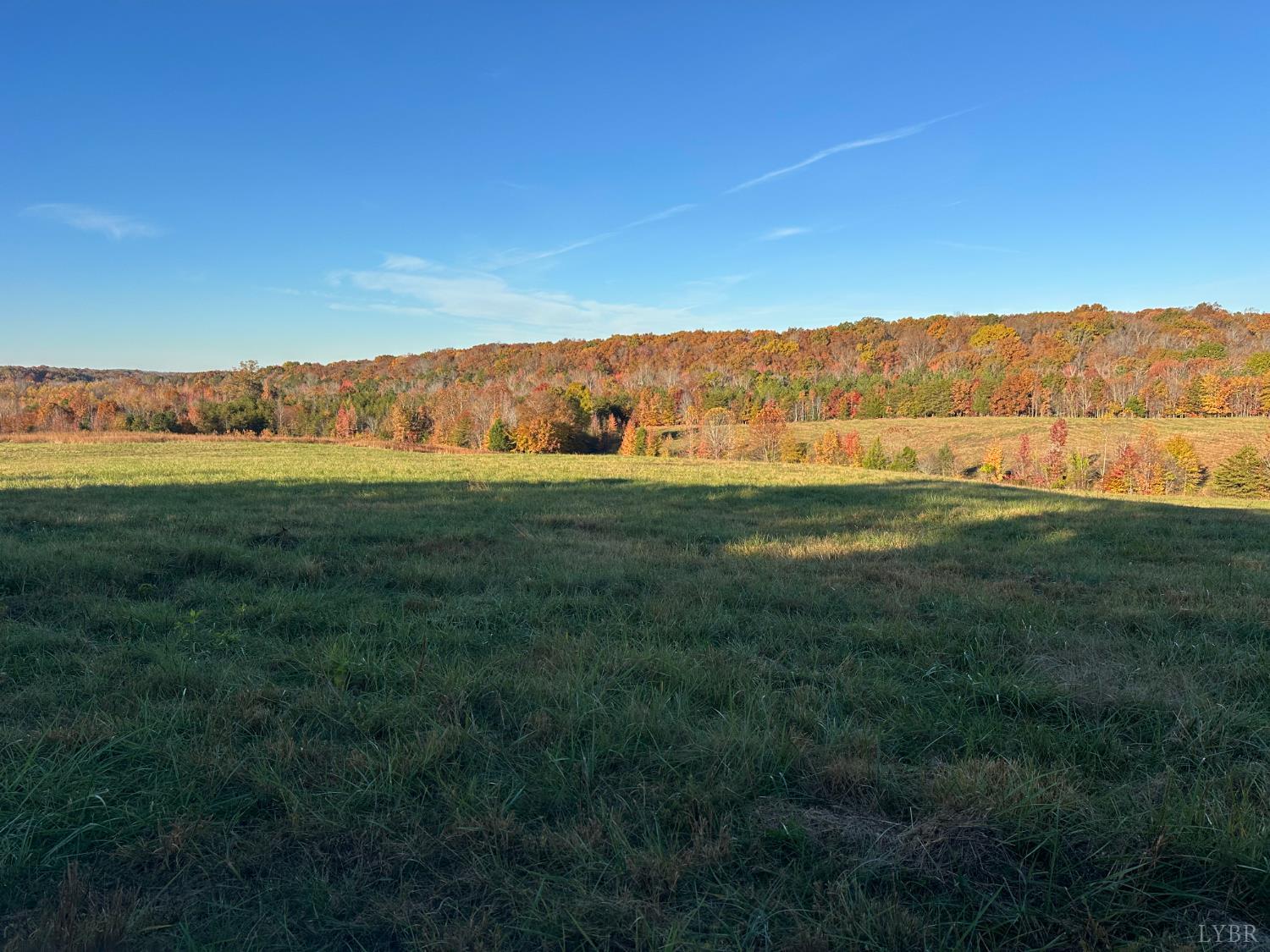 0 McIver Ferry Road Gladys, VA 24554 - Photo 39 of 70