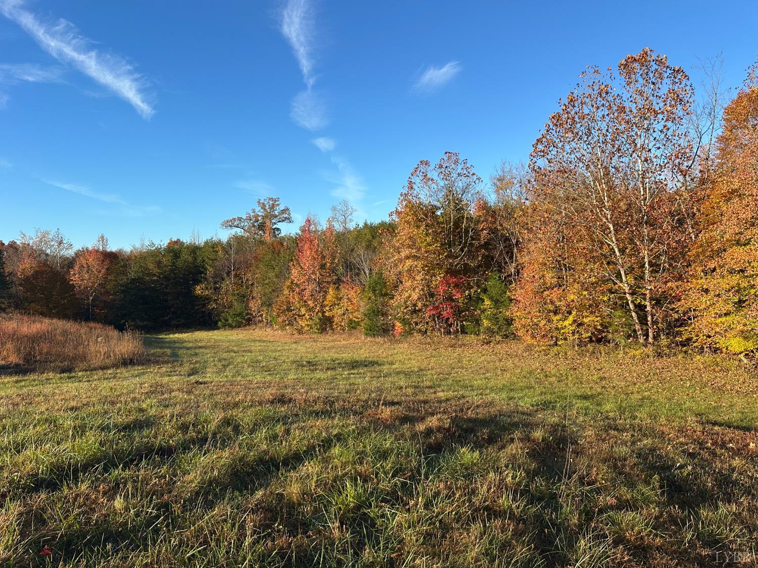 0 McIver Ferry Road Gladys, VA 24554 - Photo 10 of 70