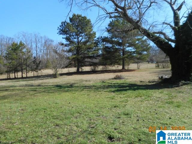 1157 Mt Road Blountsville, AL 35031 - Photo 10 of 10 Gallery Image 10