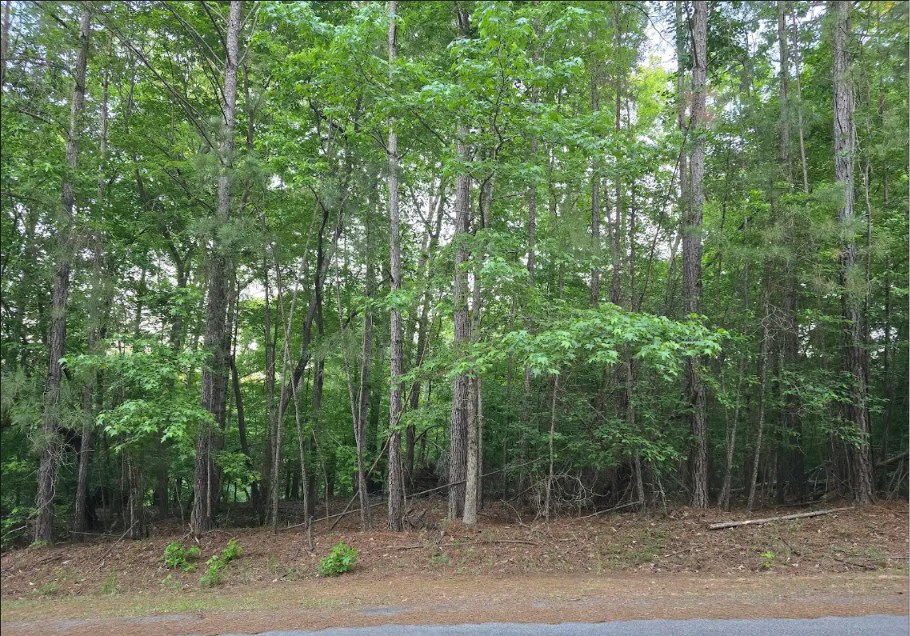 L25-b65 Crescent Drive McCormick, SC 29835 - Photo 3 of 4
