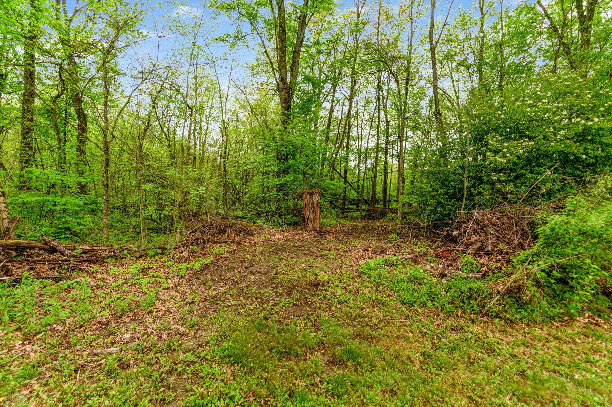 9283 Downing Road Johnstown, OH 43031 - Photo 45 of 99