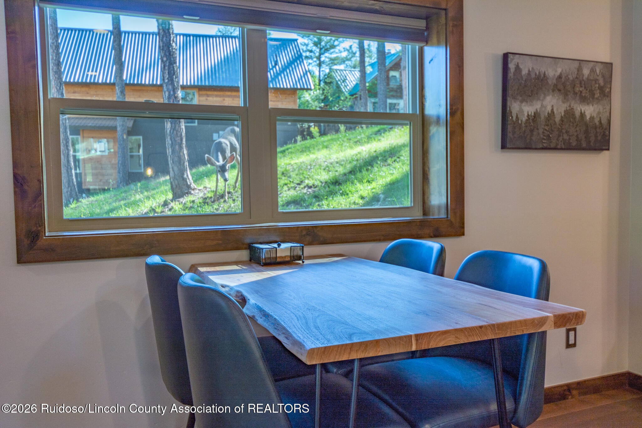 115 Apache Hills Drive Ruidoso, NM 88345 - Photo 102 of 162 Gallery Image 102