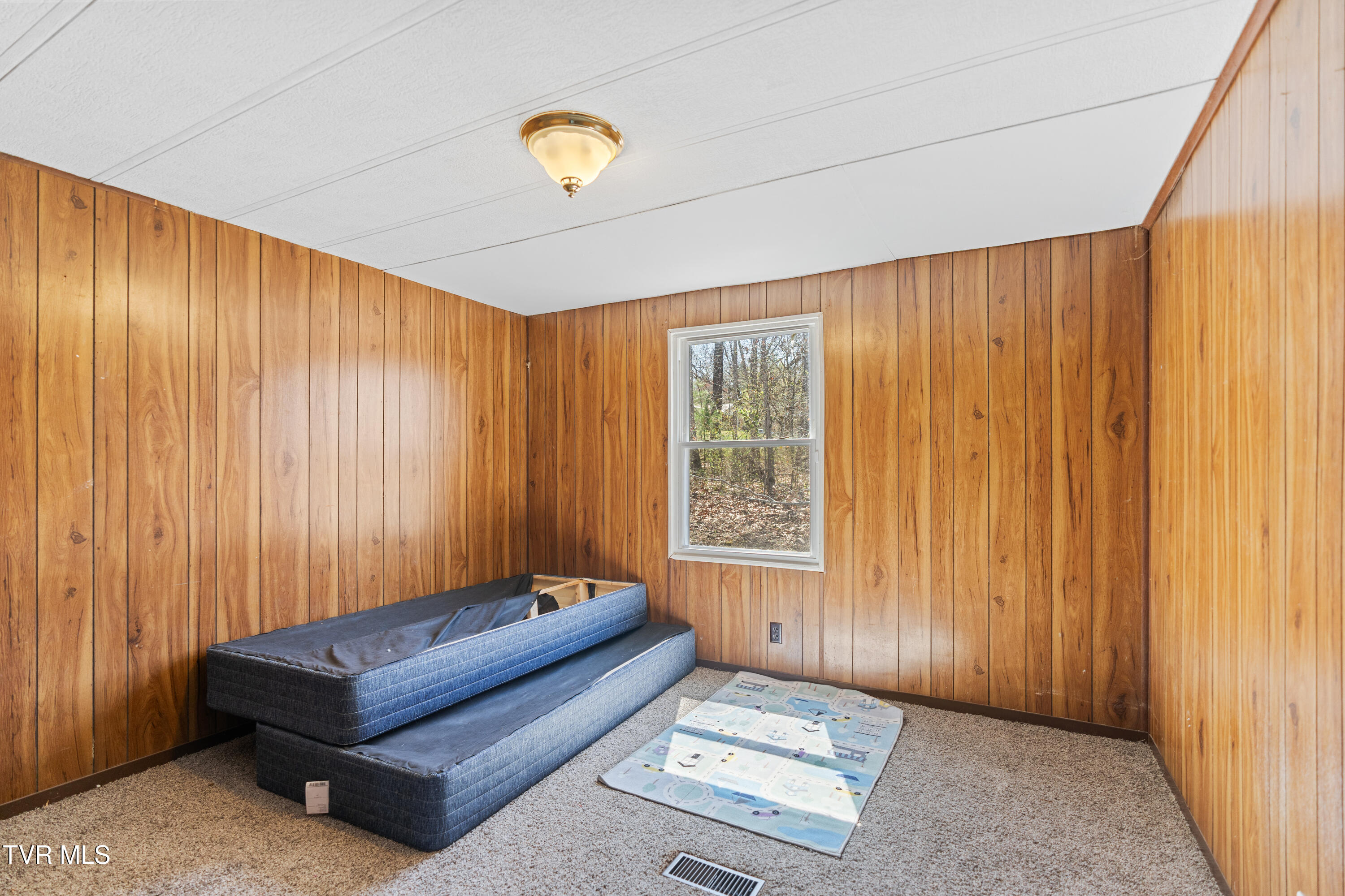 645-647 Seaton Road Afton, TN 37616 - Photo 27 of 48 DSC09374