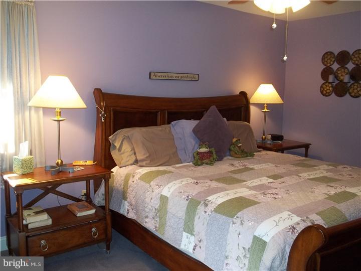 904 Sage Road West Chester, PA 19382 - Photo 12 of 23 Master Bedroom