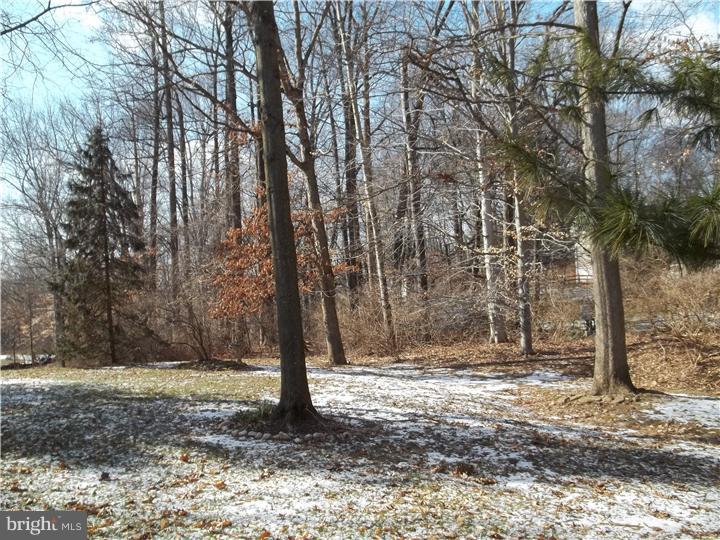 904 Sage Road West Chester, PA 19382 - Photo 23 of 23 View in Back
