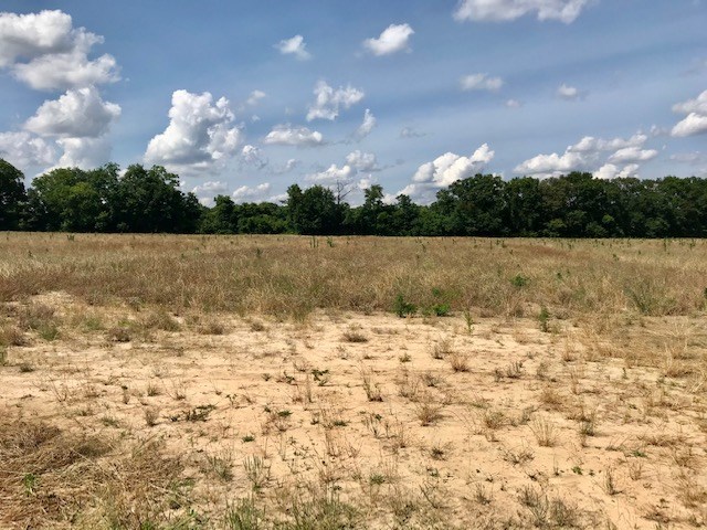 Lot 3 Skipper Road Dothan, AL 36301 - Photo 3 of 4