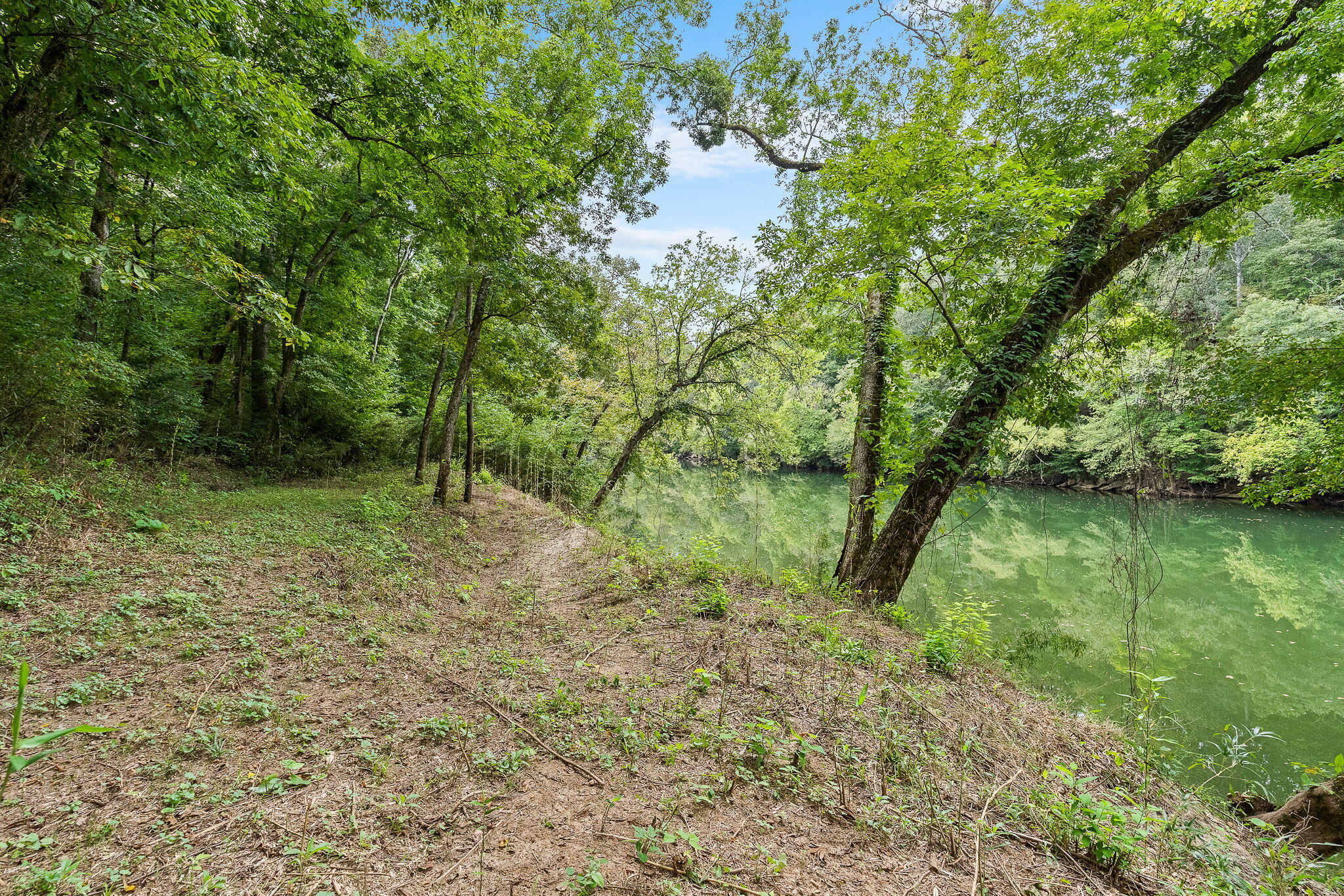 0 Bright Hope Road, Unit 7 Mosheim, TN 37818 - Photo 16 of 26 12-web-or-mls-Bright Hope 20