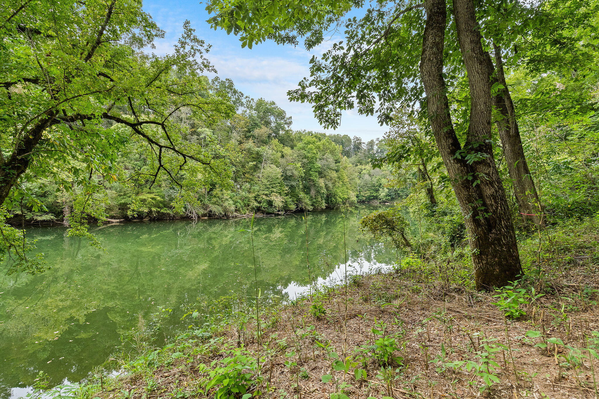 0 Bright Hope Road, Unit 7 Mosheim, TN 37818 - Photo 17 of 26 13-web-or-mls-Bright Hope 21