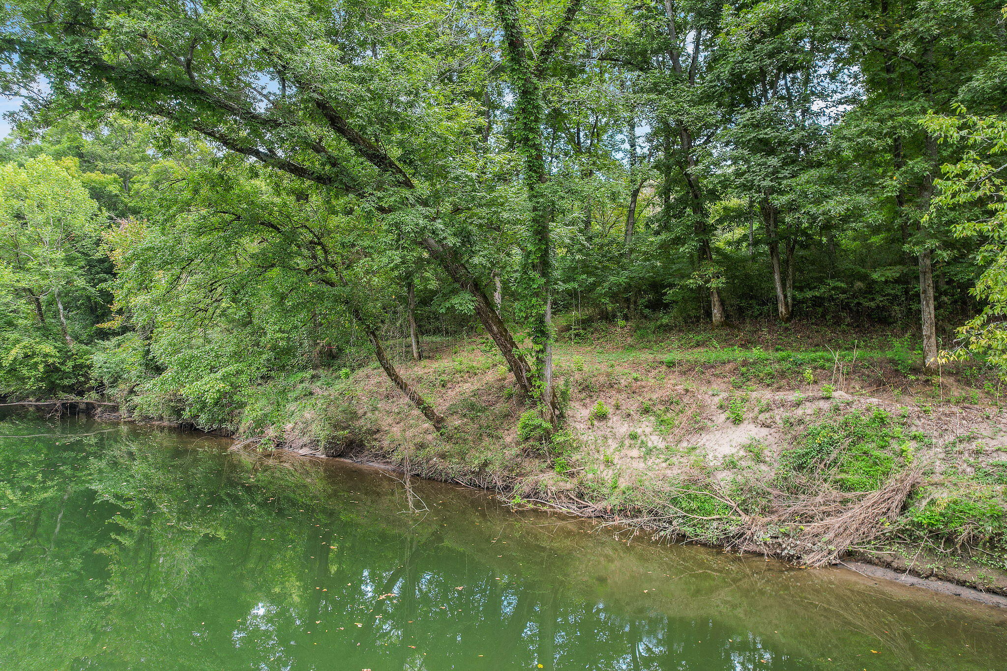 0 Bright Hope Road, Unit 7 Mosheim, TN 37818 - Photo 2 of 26 1-web-or-mls-Bright Hope 10