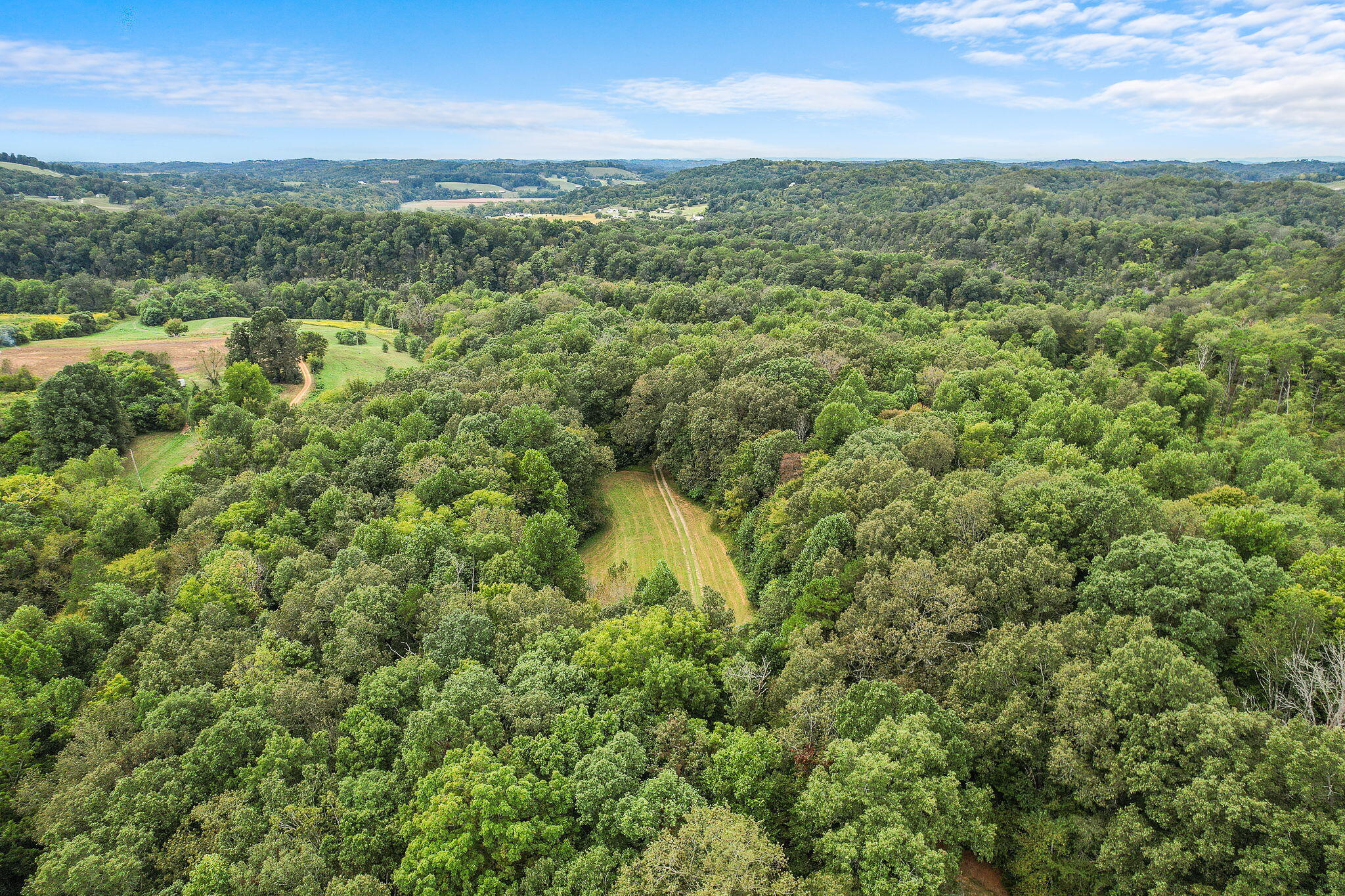 0 Bright Hope Road, Unit 7 Mosheim, TN 37818 - Photo 10 of 26 7-web-or-mls-Bright Hope 16