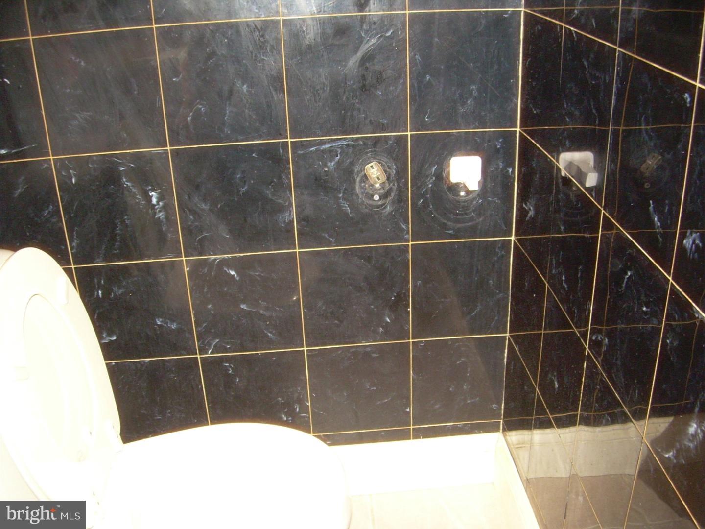 5549 Rising Sun Avenue Philadelphia, PA 19120 - Photo 6 of 25 Half Bath