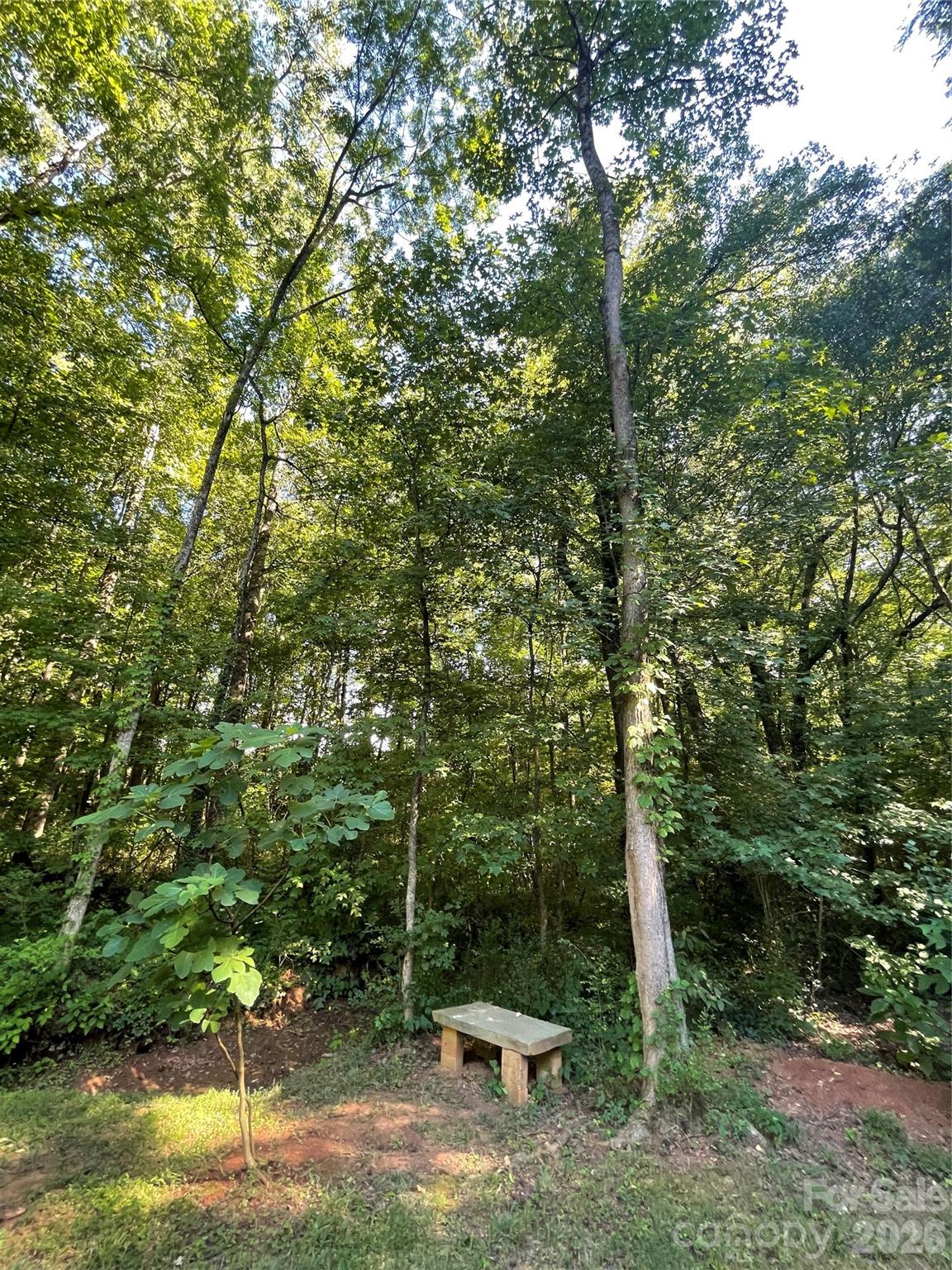 2507 Long Ferry Road Salisbury, NC 28146 - Photo 10 of 23