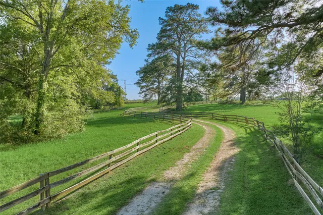 a view of a garden with a flower garden