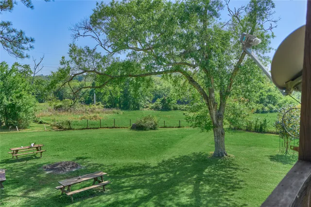 a view of a garden with large trees