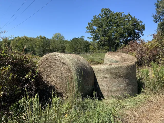 a view of a garden with a building