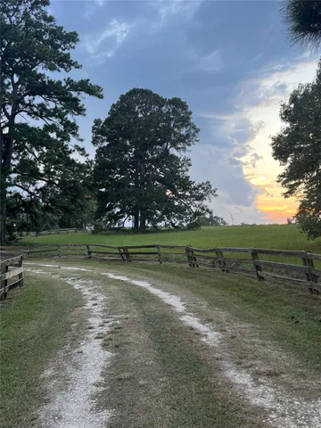 a backyard of a building with lots of trees
